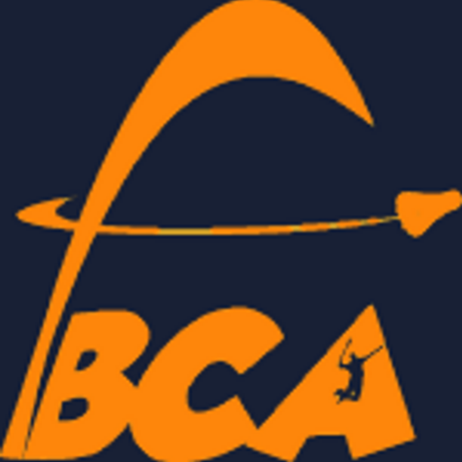 Bca logo orange petit2 55835780v1 site icon 2